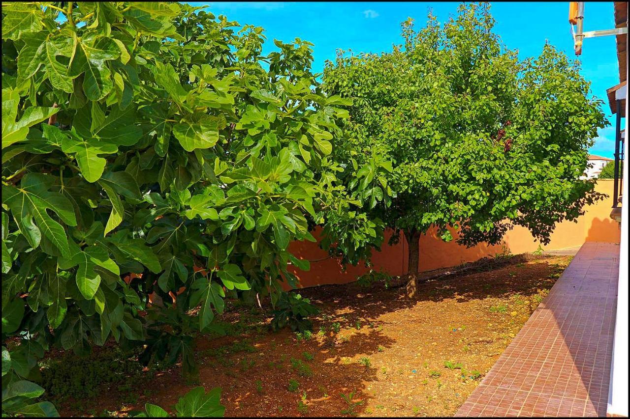 Chalet Rustico Roche Conil De La Frontera Dış mekan fotoğraf